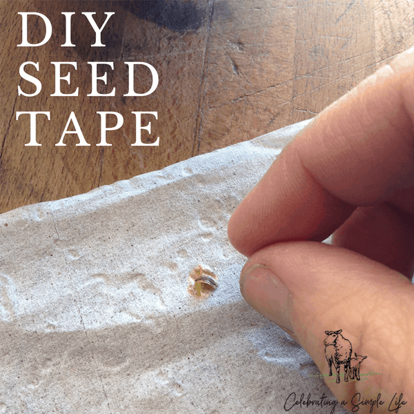 diy seed tape