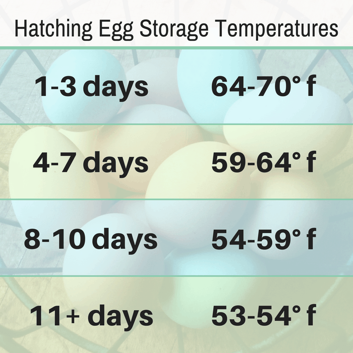 best temperature for storing hatching egg