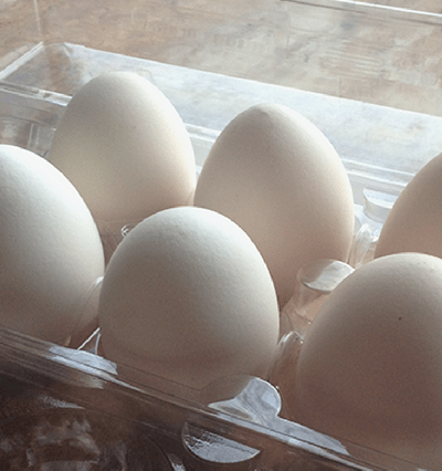 correct way to store hatching eggs
