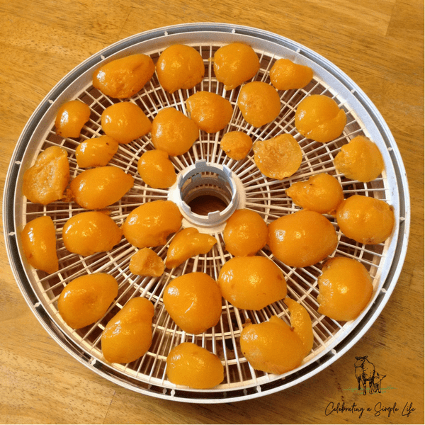 dehydrating canned peaches