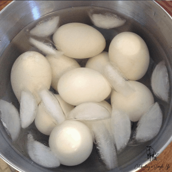 Water bath for duck eggs hard boiled in instant pot