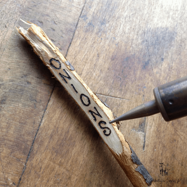 DIY Wood Burned Plant Markers - Sweet Pea