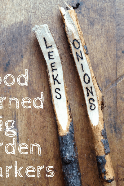 wood burned twig plant markers