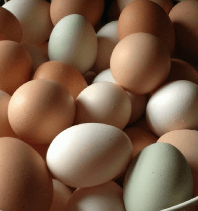 best ways to use extra eggs