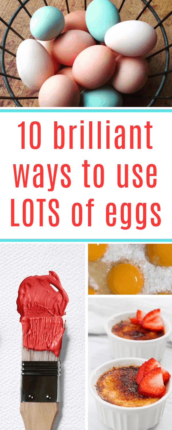 best ways to use lots of eggs