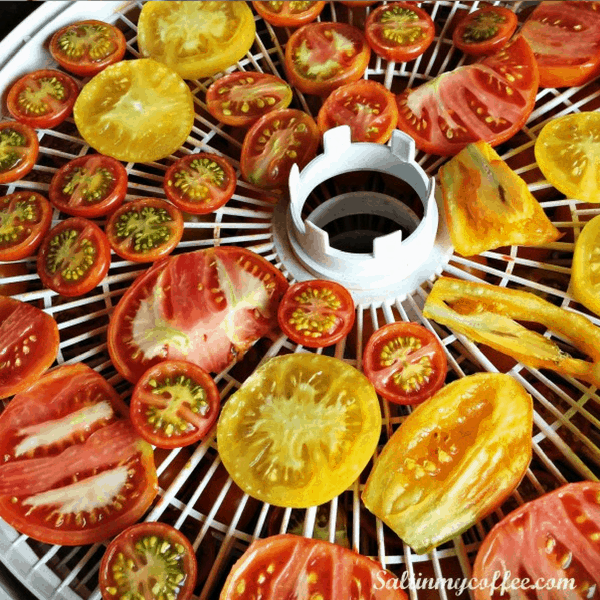 making sun dried tomatoes in a dehydrator