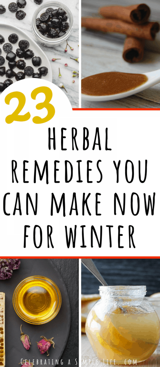 herbal remedies you can make now for winter