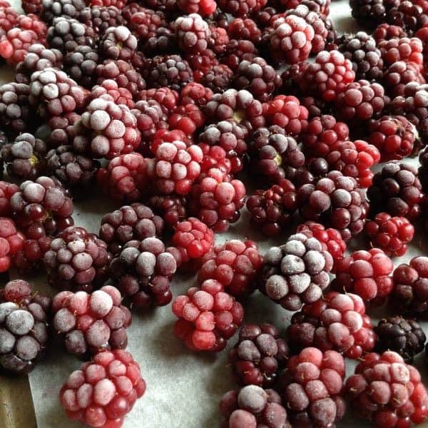 how to freeze blackberries yourself