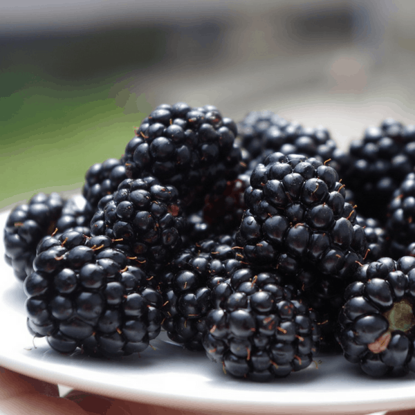 best way to freeze blackberries