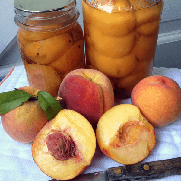 canning peaches at home