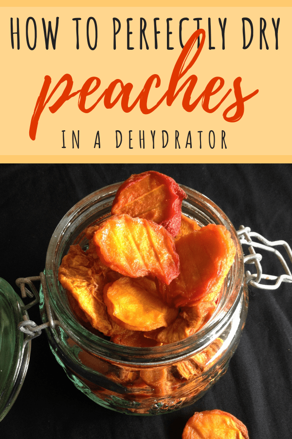 how to dry peaches in a dehydrator