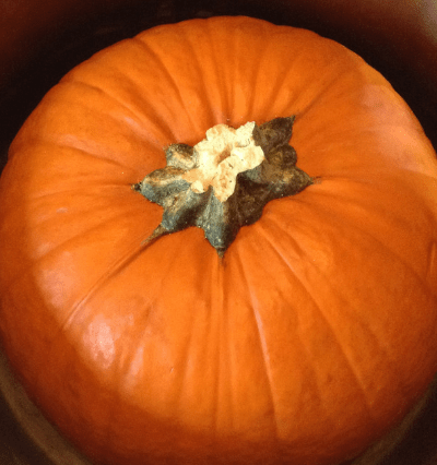 cook a whole pumpkin in an instant pot feature image