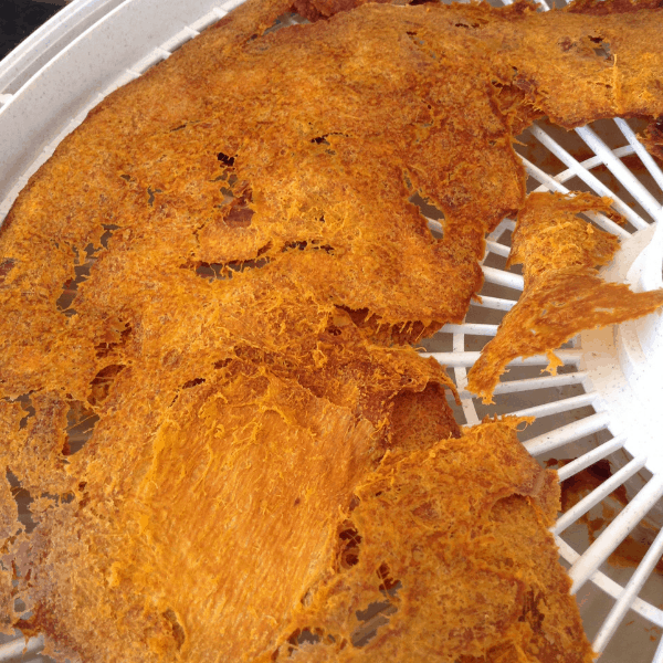 drying pumpkin puree in a dehydrator for pumpkin powder