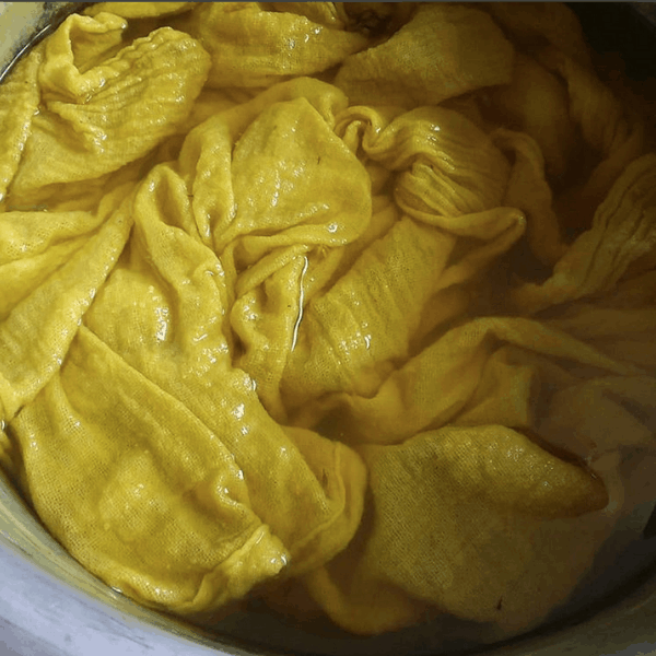fabric dyed with goldenrod