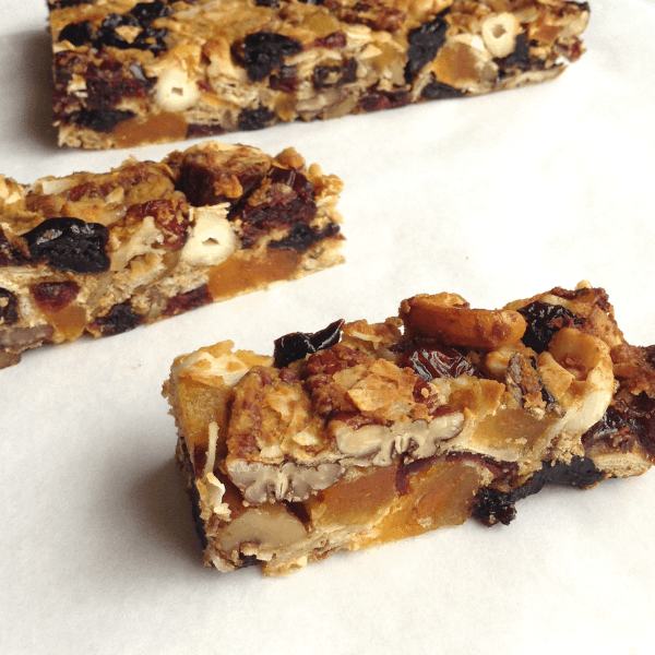 grain free paleo dried fruit and nut bars