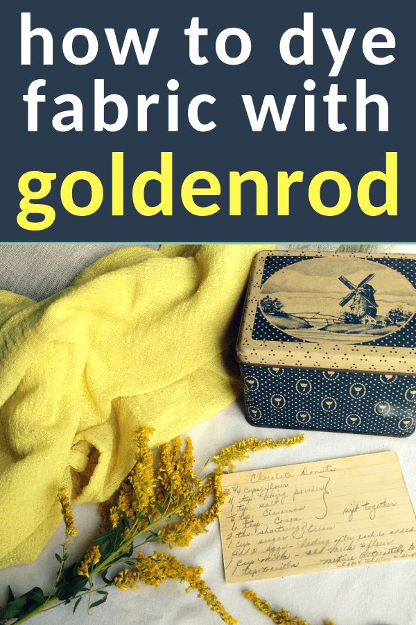 dyeing with goldenrod