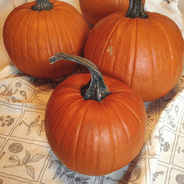 how to cook a pie pumpkin in an instant pot #instantpot #instantpotrecipes #pumpkin #cookingwithpumpkin #pumpkinpuree