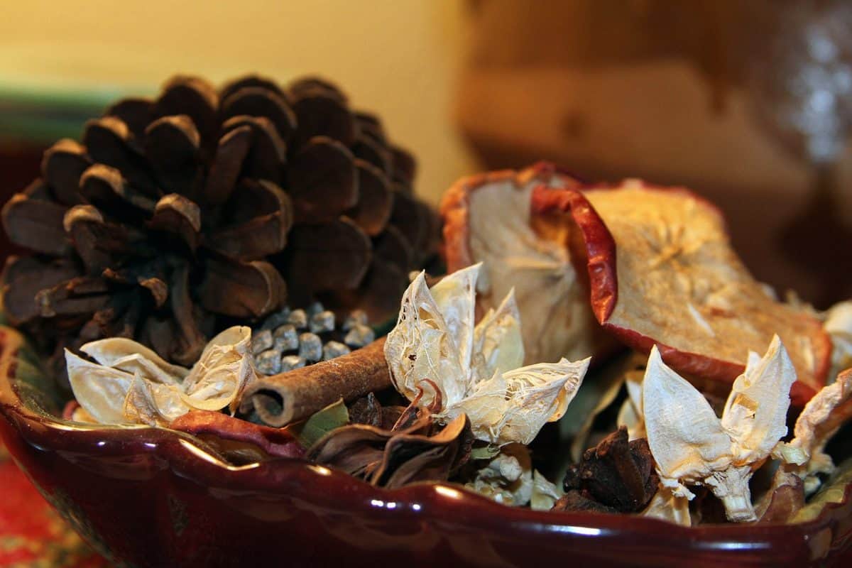 Christmas potpourri