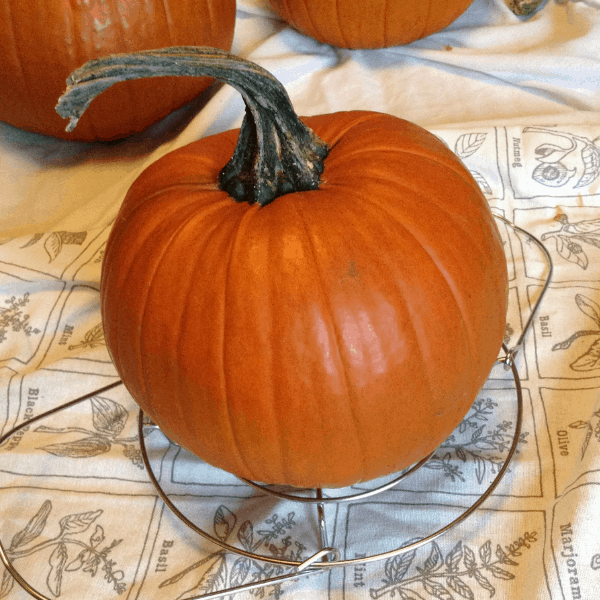 small pie pumpkin for cooking in instant pot