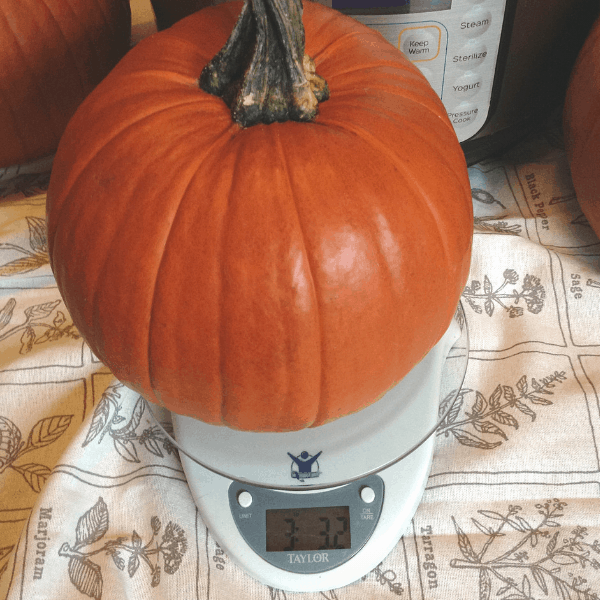 it's ok to pressure cook a pumpkin with the stem on