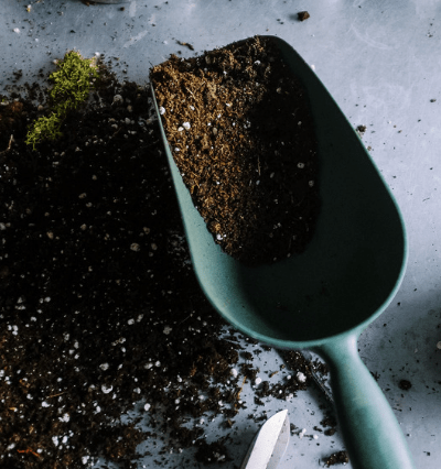 how to pasteurize potting soil