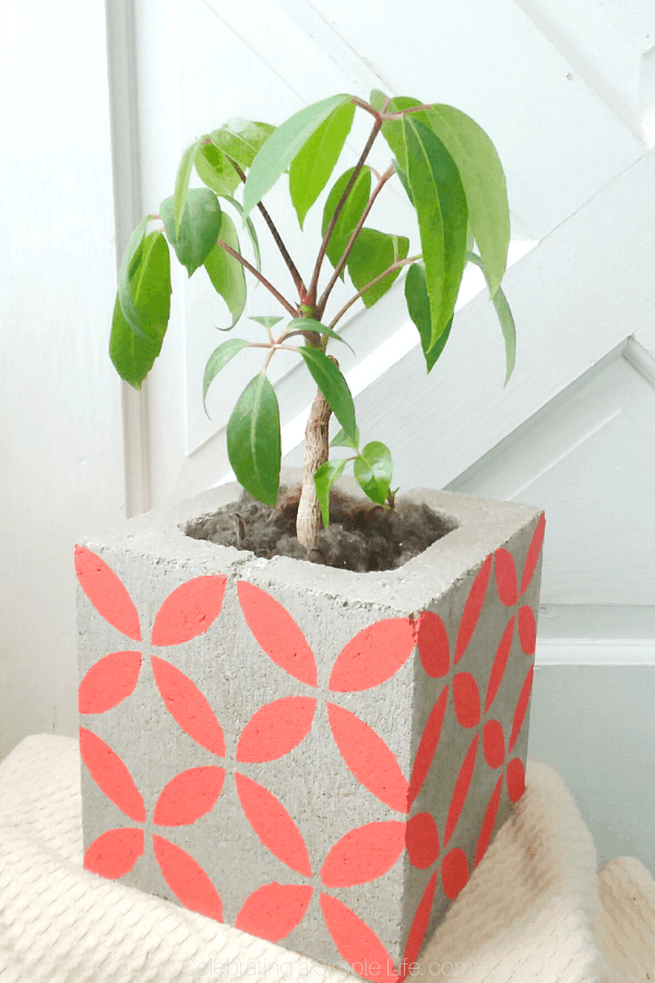 how to put a bottom on a cinder block planter
