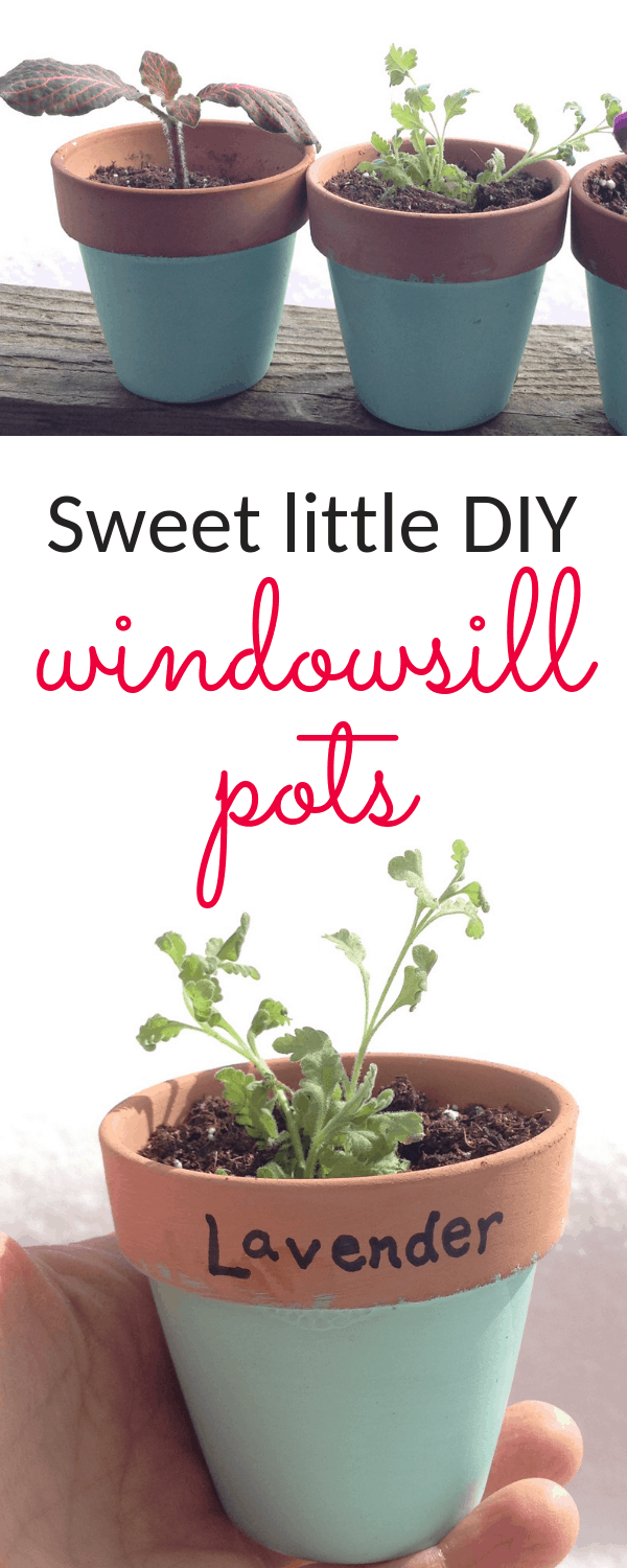 These little DIY window sill pots are SO easy, and offer the sweetest splash of color in a kitchen window! #kitchengarden #gardening #gardendiy #containergardening