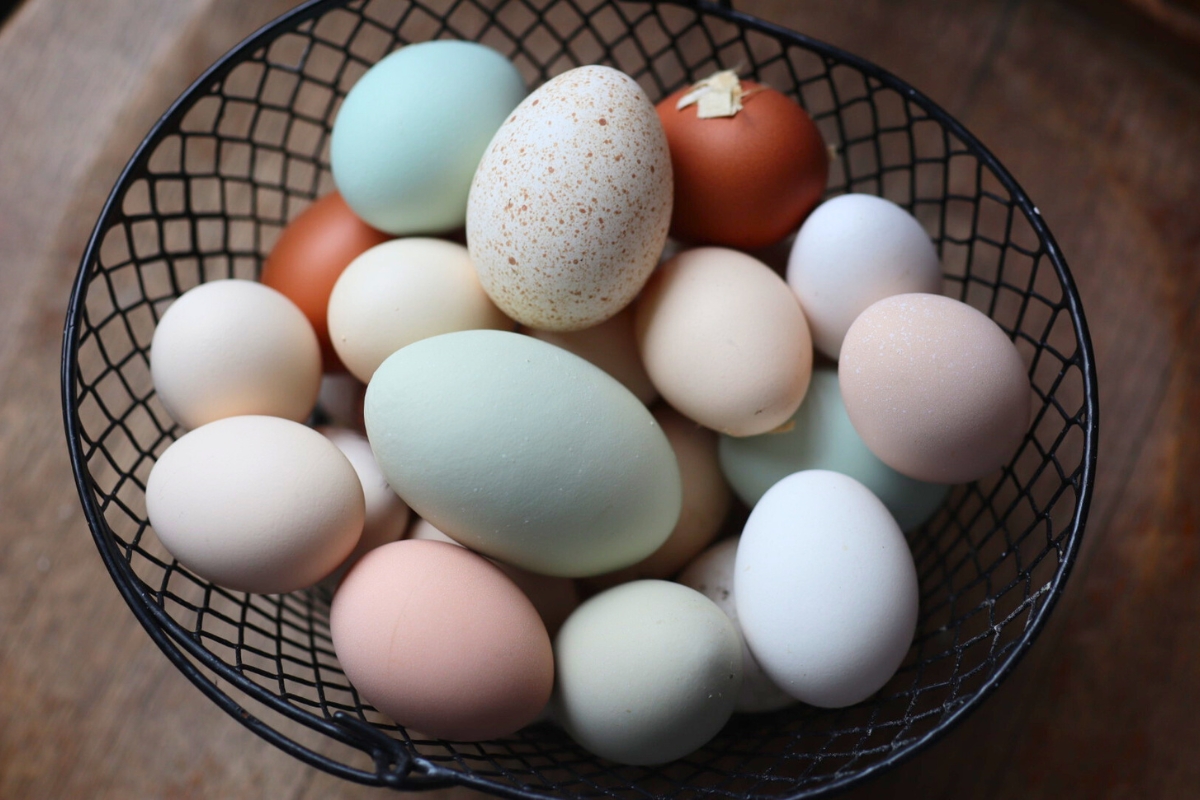 basket full of eggs in different colors and sizes