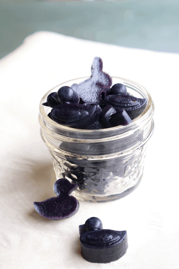 homemade blackberry gummies with probiotics