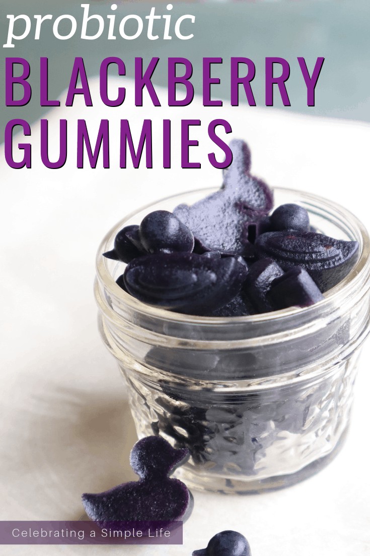 Homemade Probiotic blackberry gummies recipe