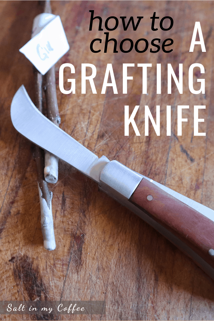 https://saltinmycoffee.com/wp-content/uploads/2019/05/How-to-choose-a-grafting-knife-short-pin.png