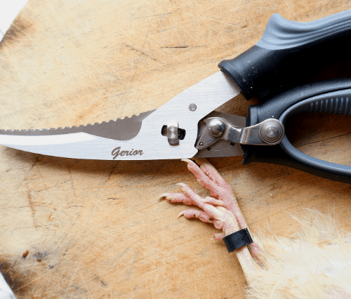 best kitchen shears for butchering quail and poultry