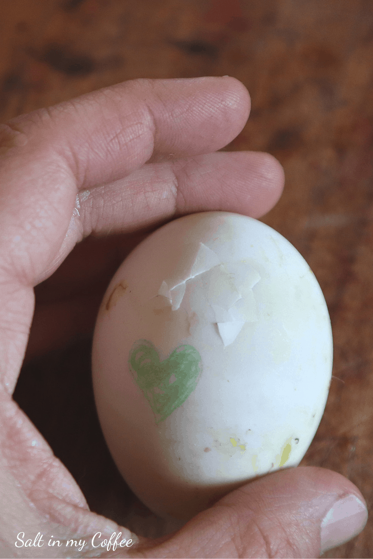 Duck egg beginning to zip