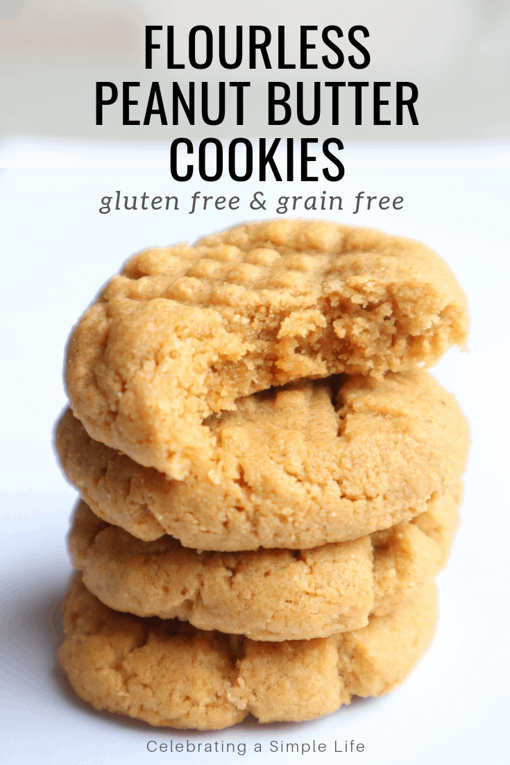 gluten free, grain free, flourless peanut butter cookie recipe