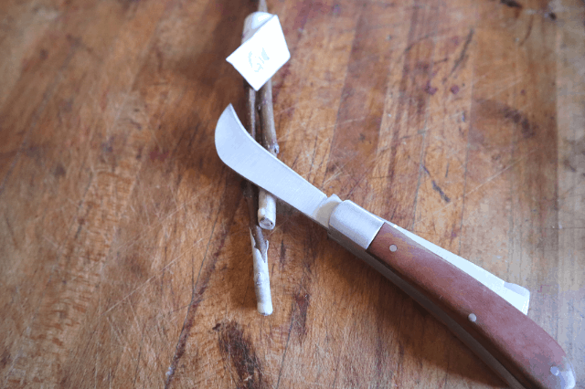 grafting knife with root stock