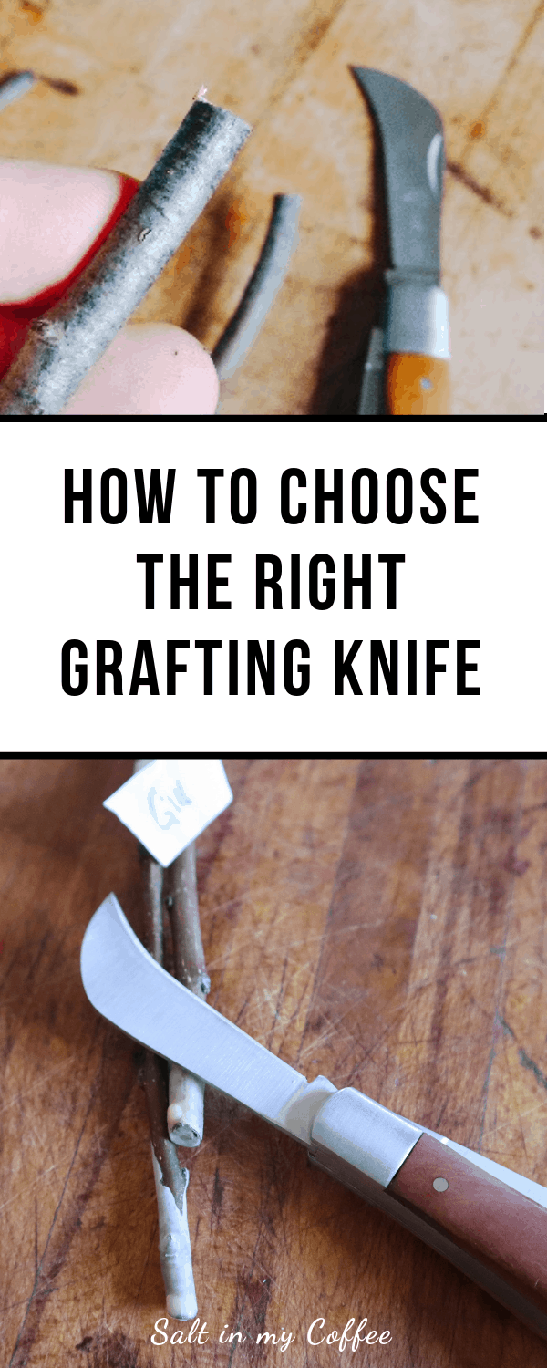 How to choose a grafting knife