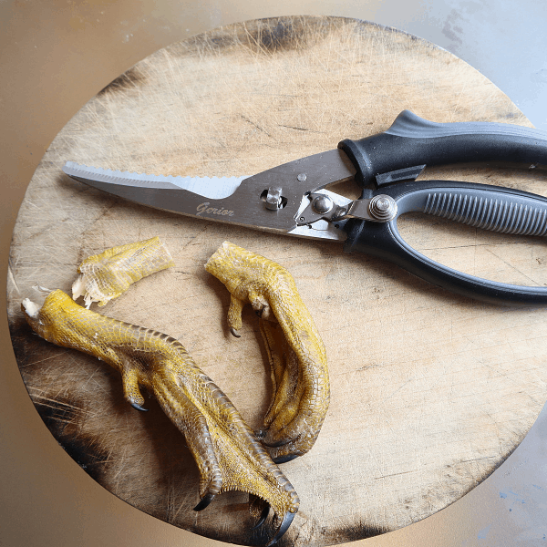 The Best Shears for Butchering Quail - Salt in my Coffee