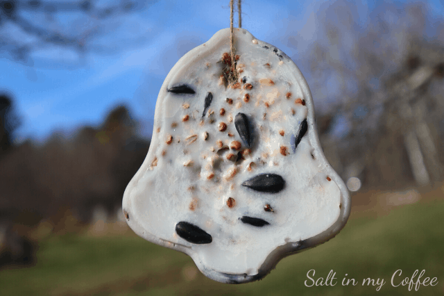 handmade suet feeder birdseed ornaments