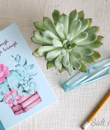 Daily planner trick for making time for self care
