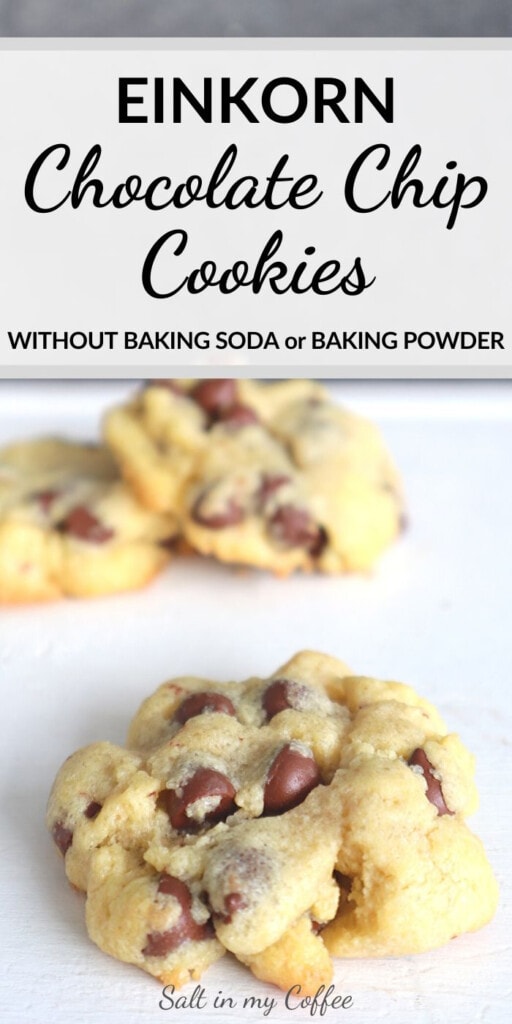 Einkorn Chocolate Chip Cookies with no Baking Soda