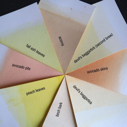 How to Dye Paper With Plants - Salt in my Coffee