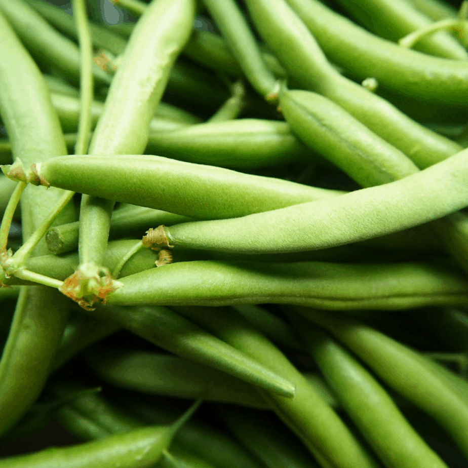 Green beans can grow in less than two months, and are a great fast growing vegetable