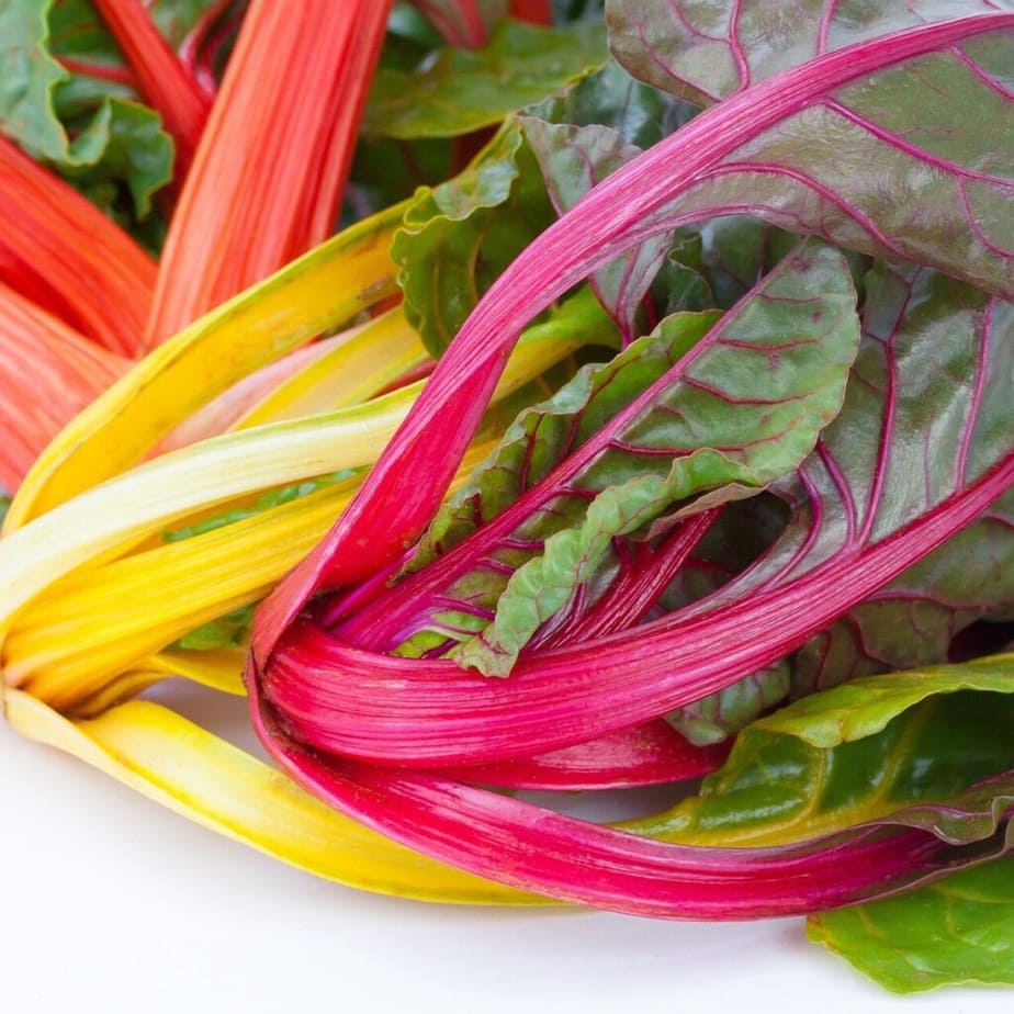 fast growing Bright Lights chard variety