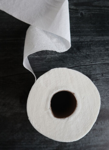 how to live without toilet paper ideas
