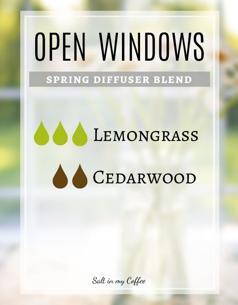 Open Windows Spring Diffuser Recipes