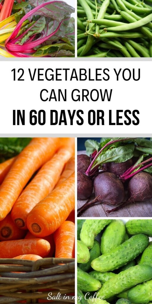 vegetables that grow in less than 60 days