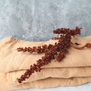 fabric dyed with curly dock seeds