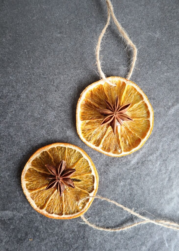 Simple Dried Fruit Slice Ornaments - Salt in my Coffee