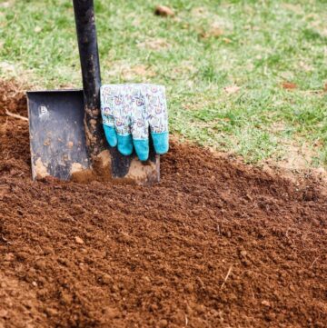 How to Dig a Garden By Hand - Salt in my Coffee