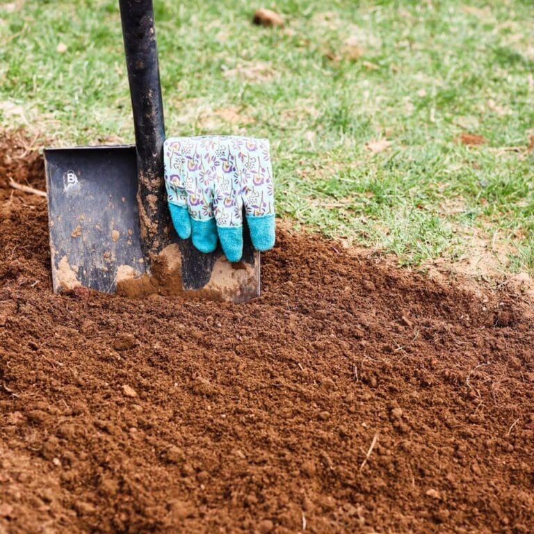 How To Dig A Garden By Hand - Salt In My Coffee